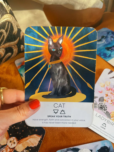 Nikki Strange Spirit Animal Wisdom card deck & guide book - Radical Living