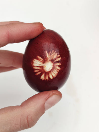 Easter Special Natural Egg Dye Workshop | Sunday 13th April @ 12pm - Radical Living - Casa De Folklore