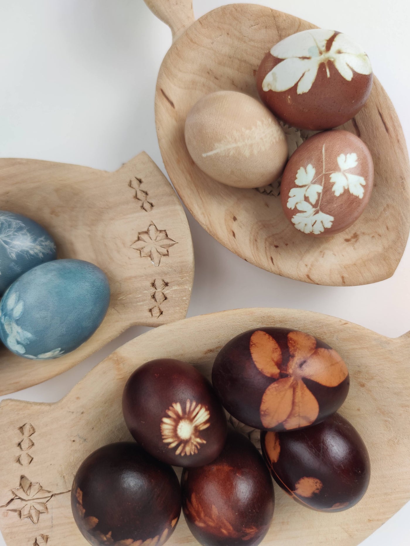 Easter Special Natural Egg Dye Workshop | Sunday 13th April @ 12pm - Radical Living - Casa De Folklore