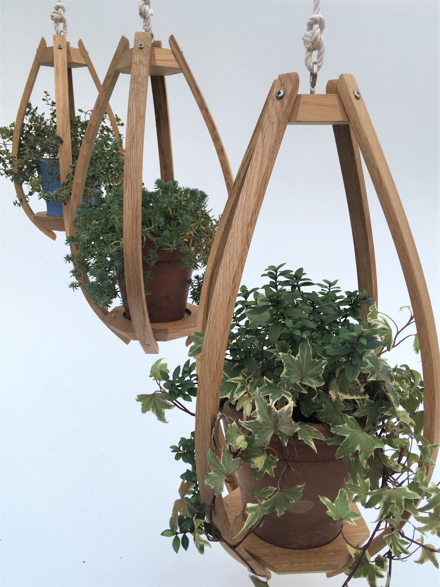 &nbsp;Baycraft Studio Hanging Planter Oak - Radical Living Baycraft Studio Wooden Wall Bracket Oak - Radical Living