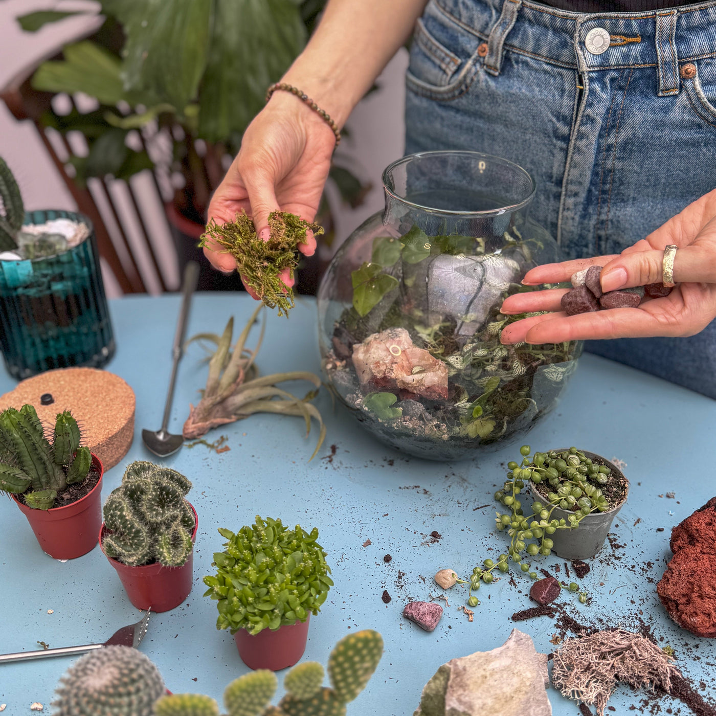 Cactus & Succulent Terrarium Workshop | Saturday 3rd May @ 10am - Radical Living