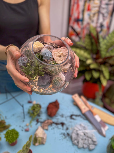 Cactus & Succulent Terrarium Workshop | Saturday 3rd May @ 10am - Radical Living