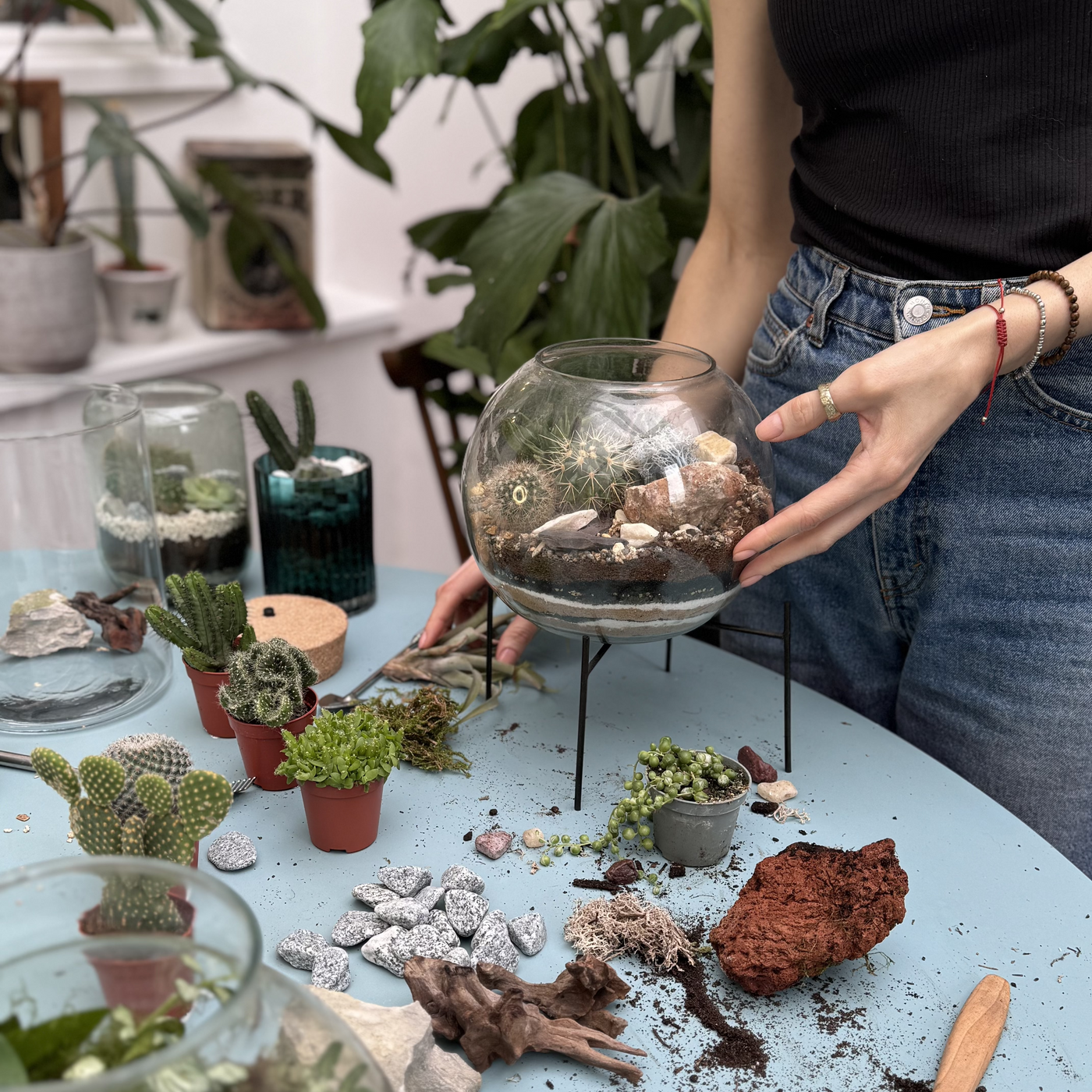 Cactus & Succulent Terrarium Workshop | Saturday 3rd May @ 10am - Radical Living