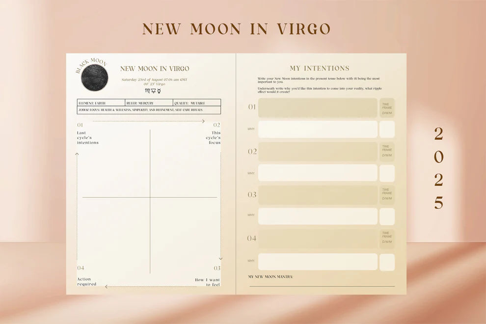 Nikki Strange 2025 Full Year lunar Moon diary - Radical Living