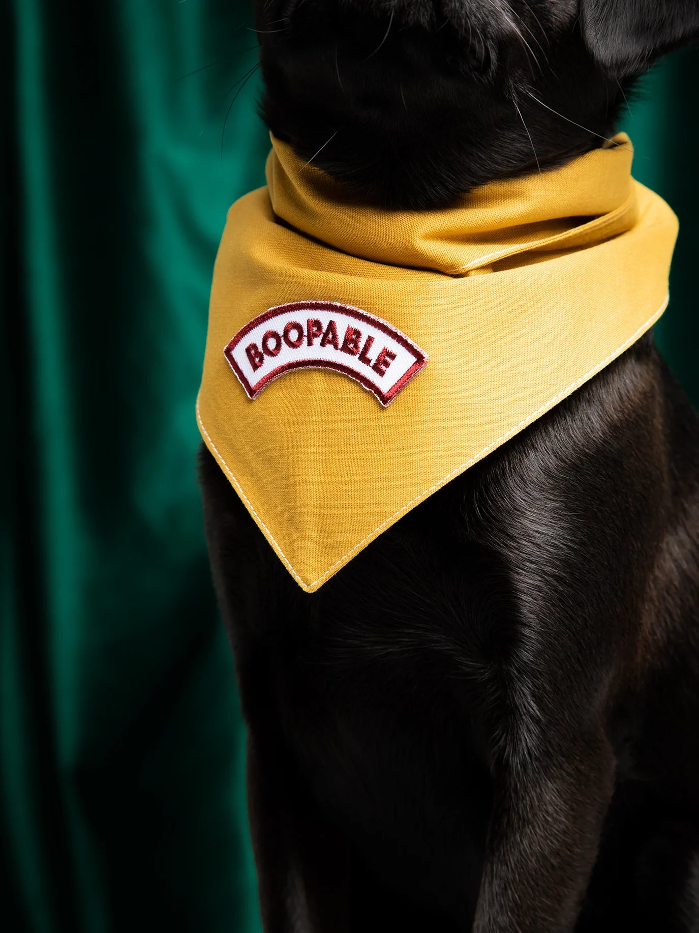 Scouts Honour Mustard Bandana for Dogs - Dogs Apparel - Radical Living