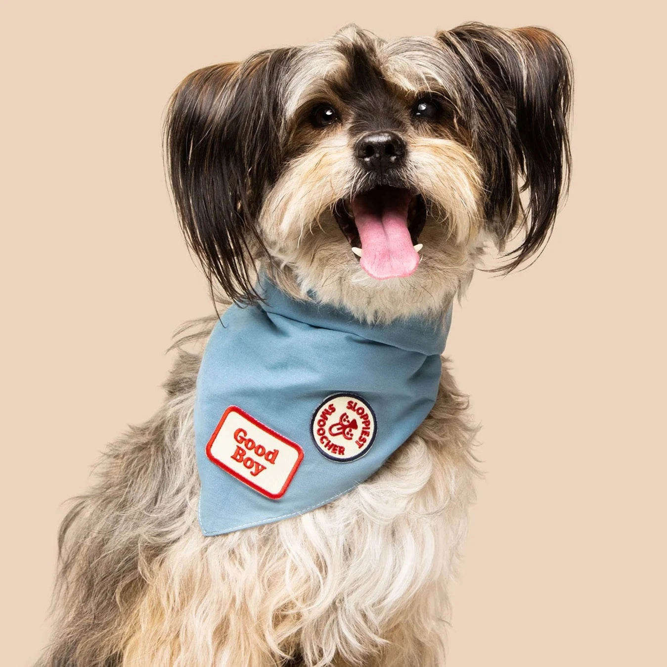 Scouts Honour Good Boy Iron-on Patch for Dogs - Radical Living