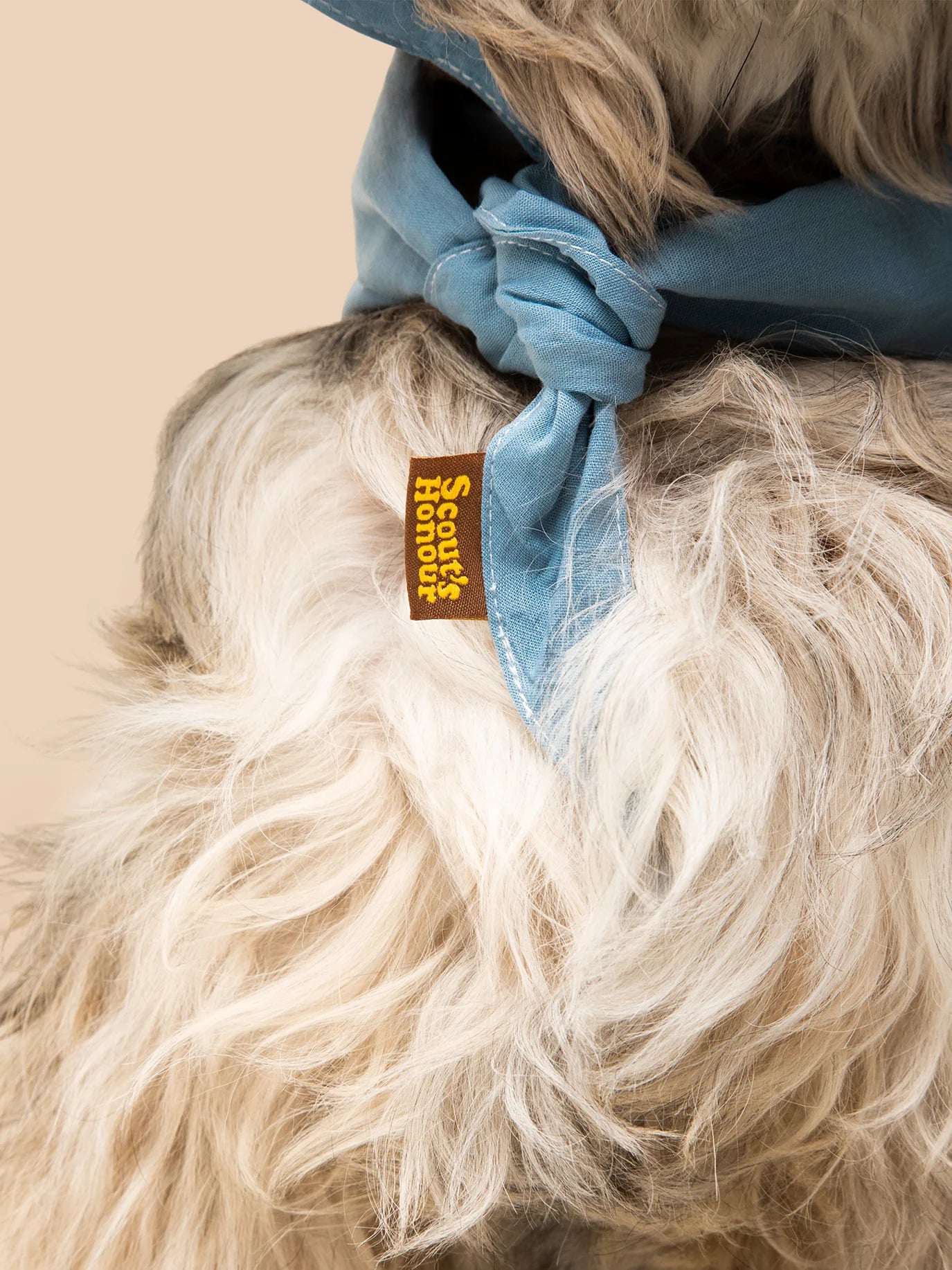 Scouts Honour Sky Blue Bandana for Dogs  - Radical Living