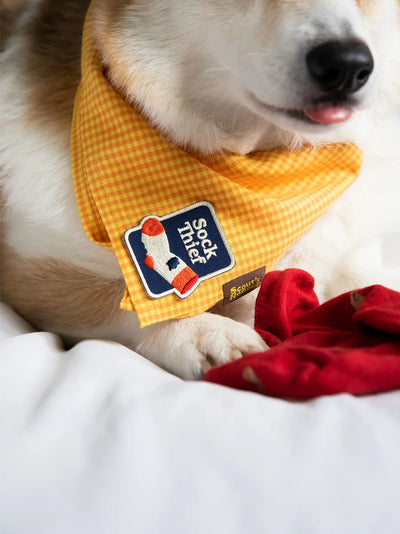 Scouts Honour Sock Thief Iron-on Patch for Dogs - Radical Living