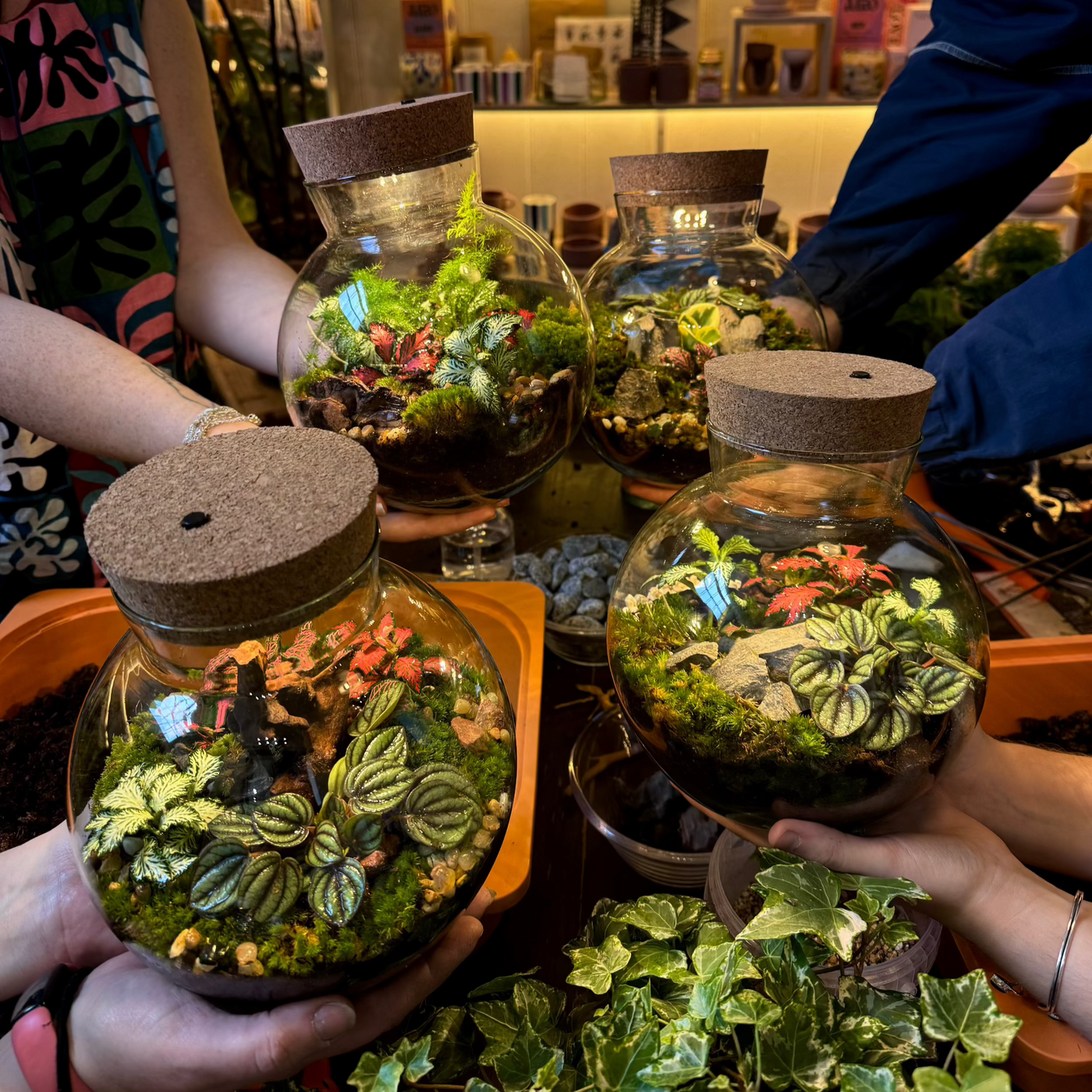Closed Terrarium Workshop | Sunday 6th July @ 11am - Radical Living
