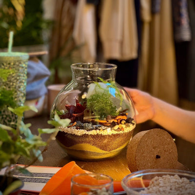 Hand holding a small glass terrarium with plants and stones on a table.