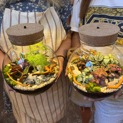 Two people holding small terrariums with plants and decorative elements.