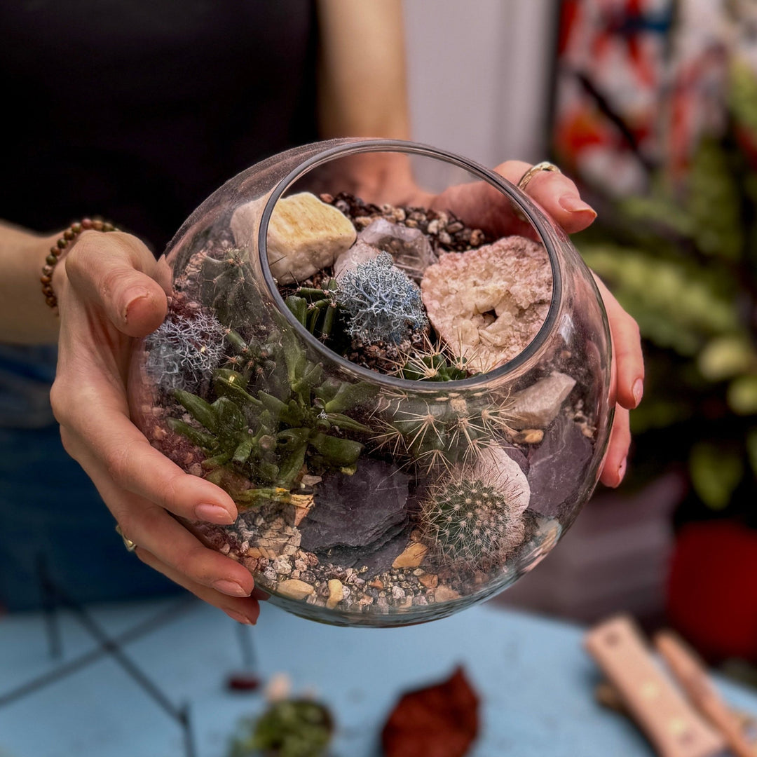 open terrarium succulents Desert in a Glass Workshop