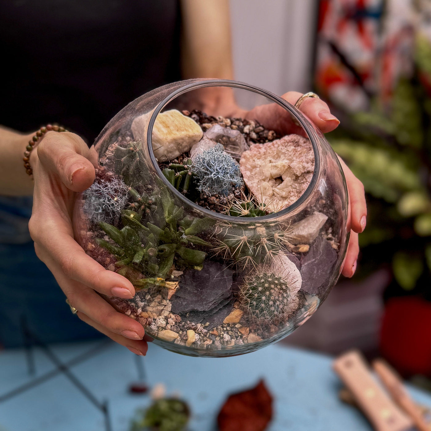 Person holding a glass terrarium with plants and stones indoors.