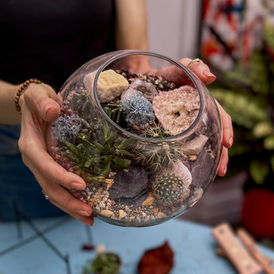 Person holding a glass terrarium with plants and stones indoors.