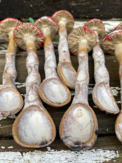 Close-up of a group of mushrooms with white caps and brown stems on a wooden surface.