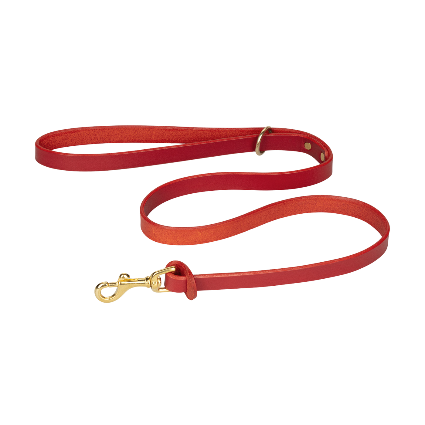 Red dog leash with gold hardware on a white background