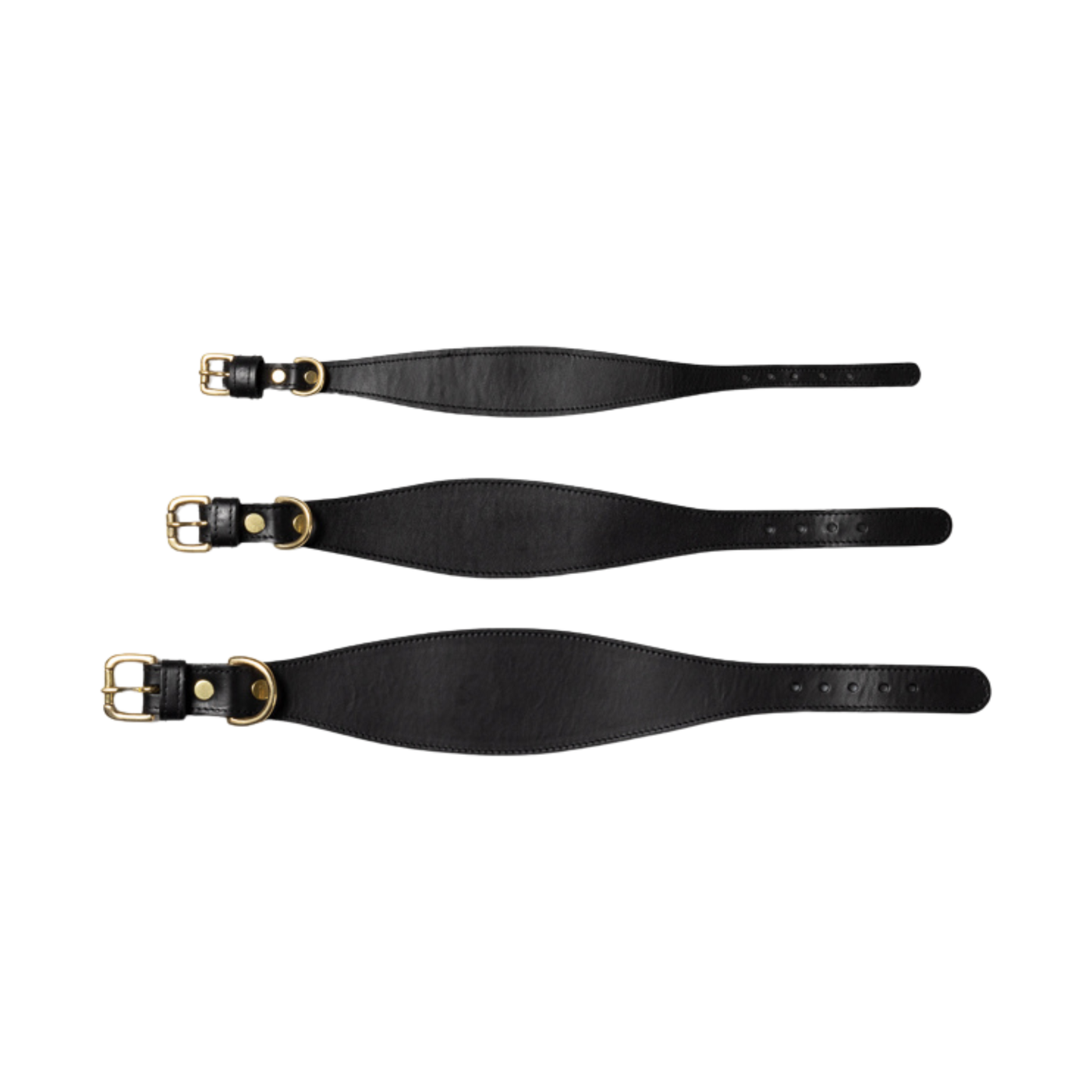 Three black leather straps with gold buckles on a white background