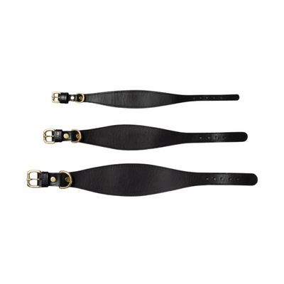 Three black leather straps with gold buckles on a white background
