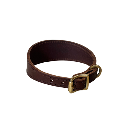 Brown leather dog collar with a brass buckle on a white background