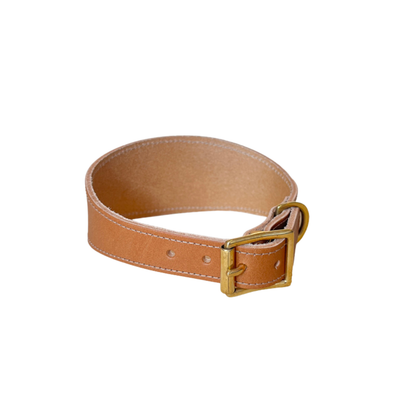 Brown leather belt with brass buckle on a white background