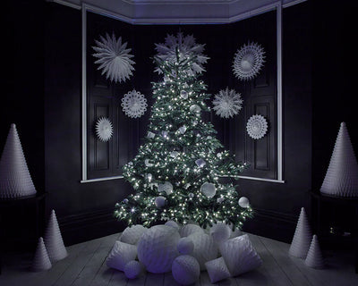 Paper Dreams Classic Snowflake Fan White