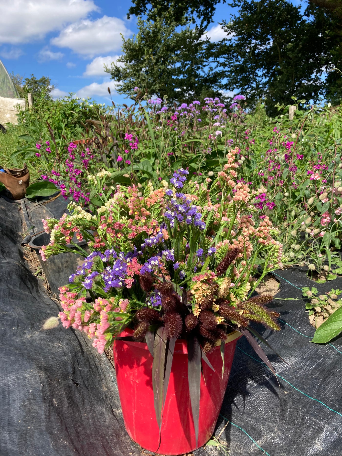 A Merry Bunch Dried Flower Bouquet