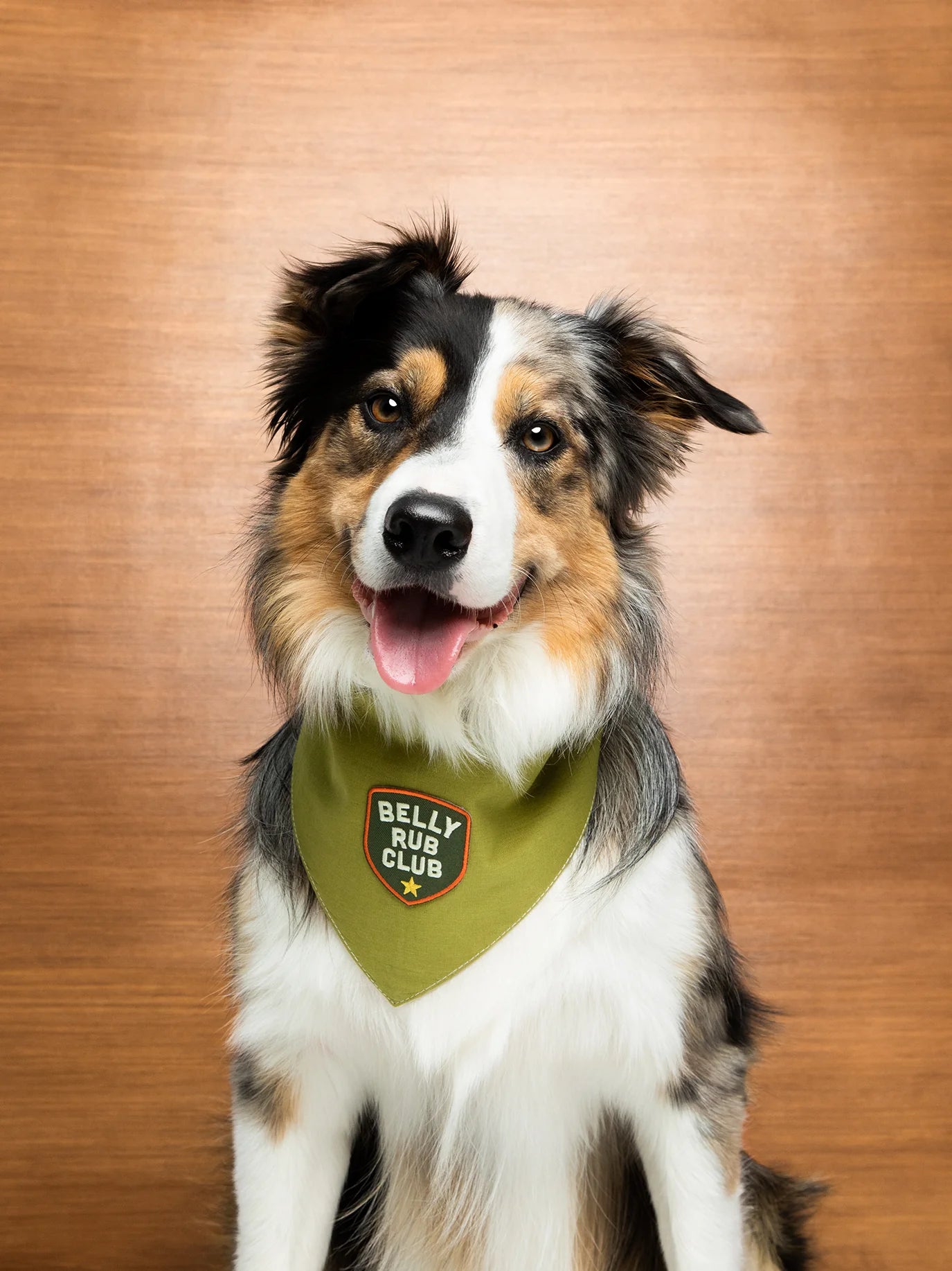 Scouts Honour Belly Rub Club Iron-on Patch for Dogs - Radical Living