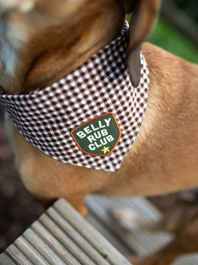 Scouts Honour Belly Rub Club Iron-on Patch for Dogs - Radical Living