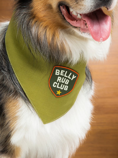 Scouts Honour Belly Rub Club Iron-on Patch for Dogs - Radical Living