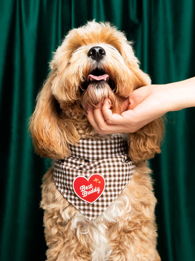 Scouts Honour Best Buddy Iron-on Patch for Dogs. - Radical Living 