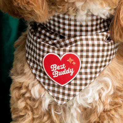 Scouts Honour Best Buddy Iron-on Patch for Dogs. - Radical Living 