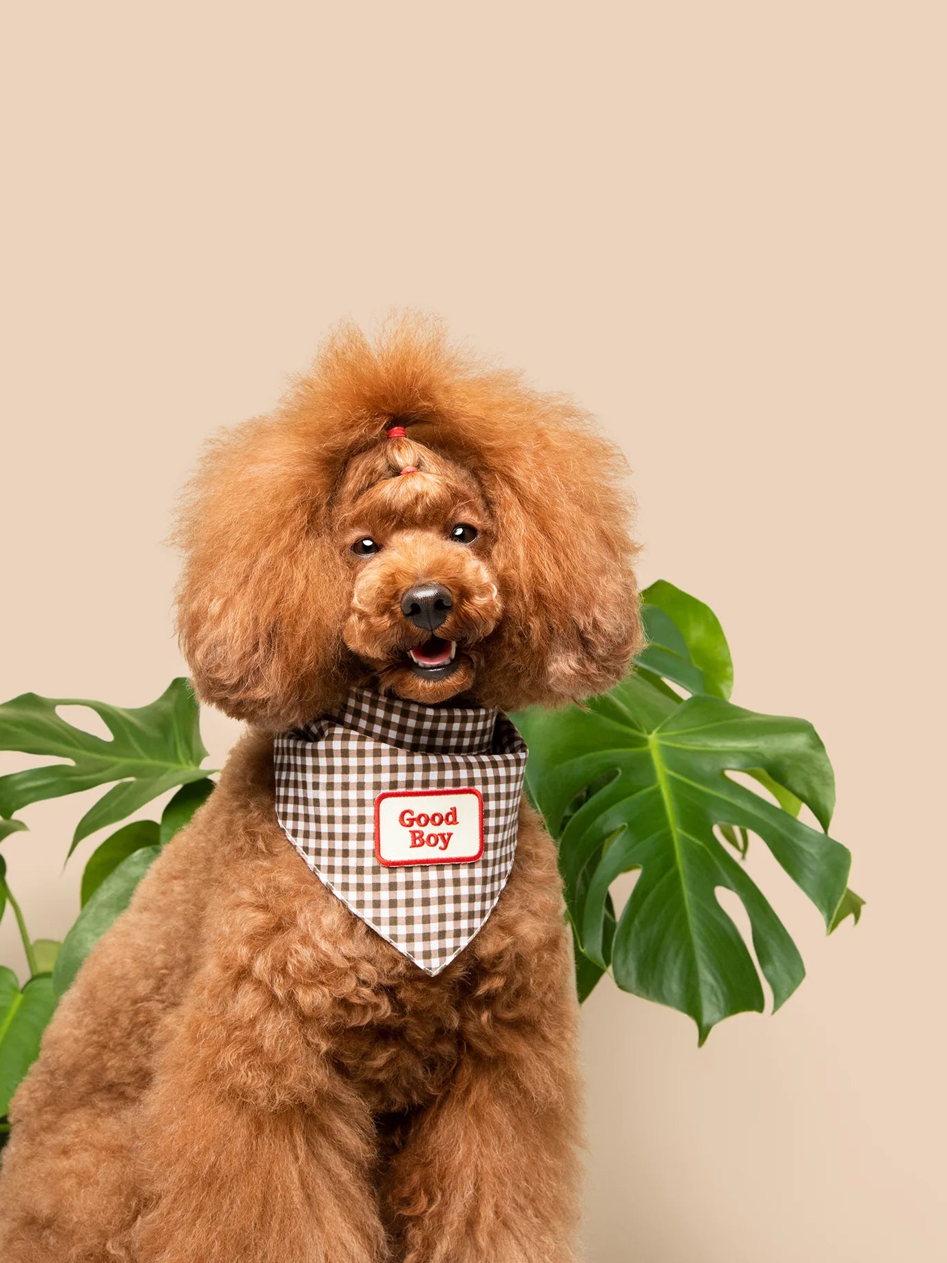 Scouts Honour Brown Gingham Bandana for Dogs - Radical Living