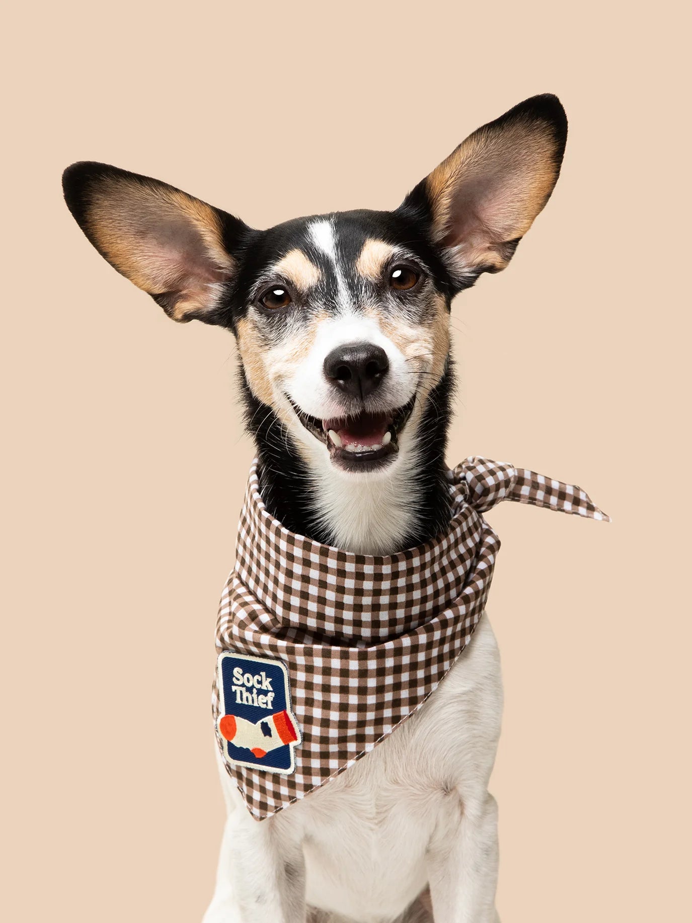 Scouts Honour Brown Gingham Bandana for Dogs - Radical Living