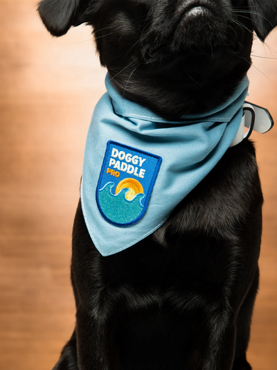 Scouts Honour Doggy Paddle Iron-on Patch for Dogs - Radical Living 