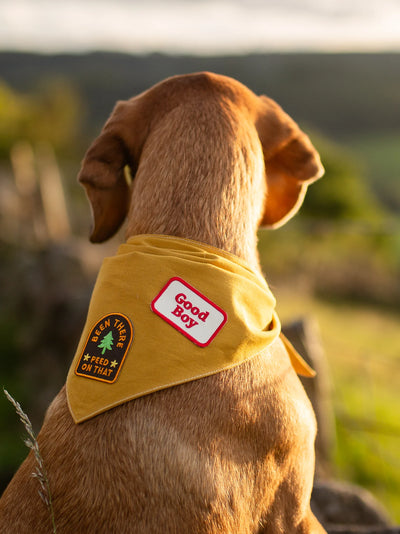 Scouts Honour Good Boy Iron-on Patch for Dogs - Radical Living