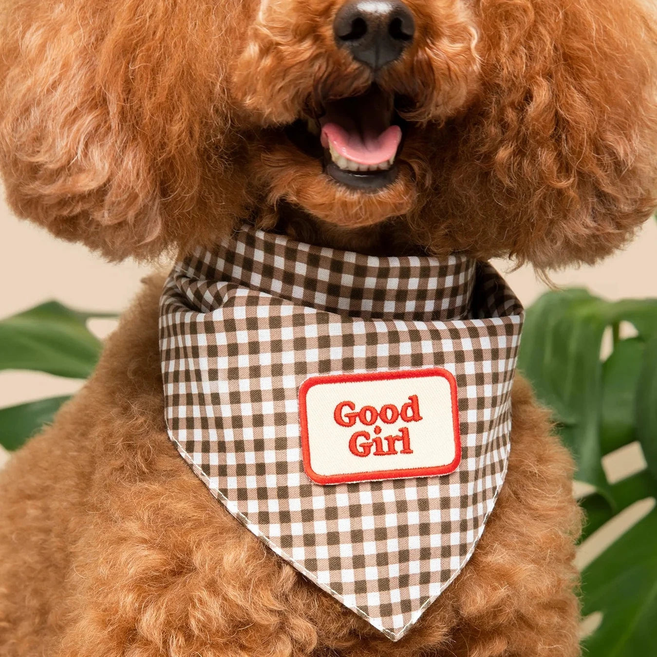 Scouts Honour Good Girl Iron-on Patch for Dogs - Radical Living 