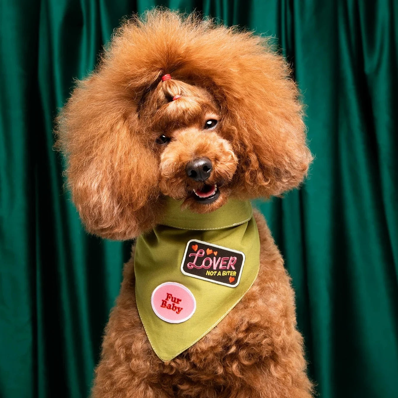 Scouts Honour Olive Bandana for Dogs - Radical Living