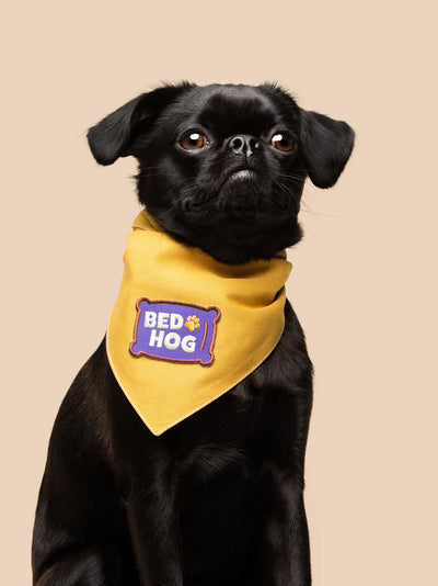 Scouts Honour Mustard Bandana for Dogs - Dogs Apparel - Radical Living