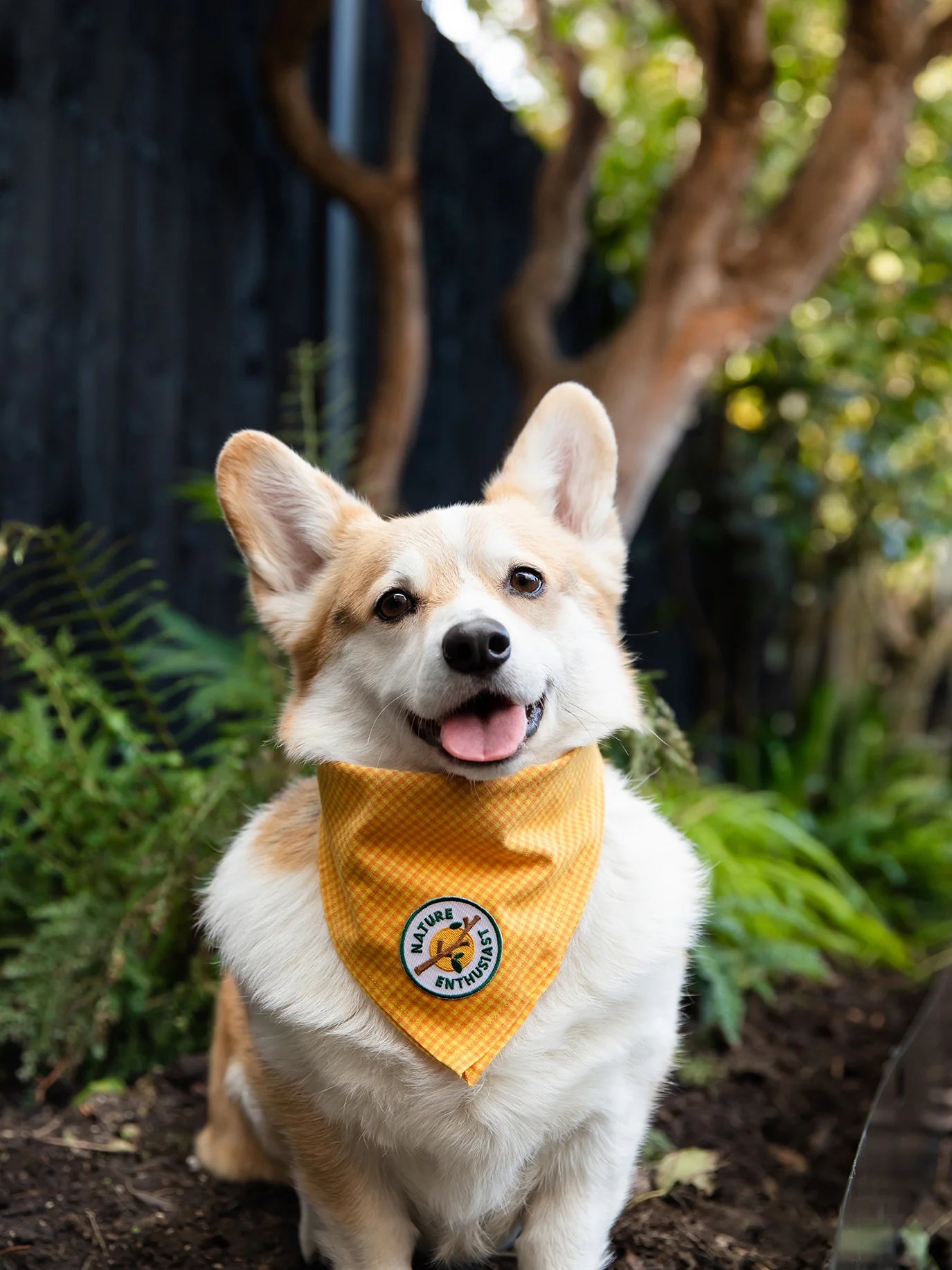 Scouts Honour Nature Enthusiast Iron-on Patch for Dogs - Radical Living 