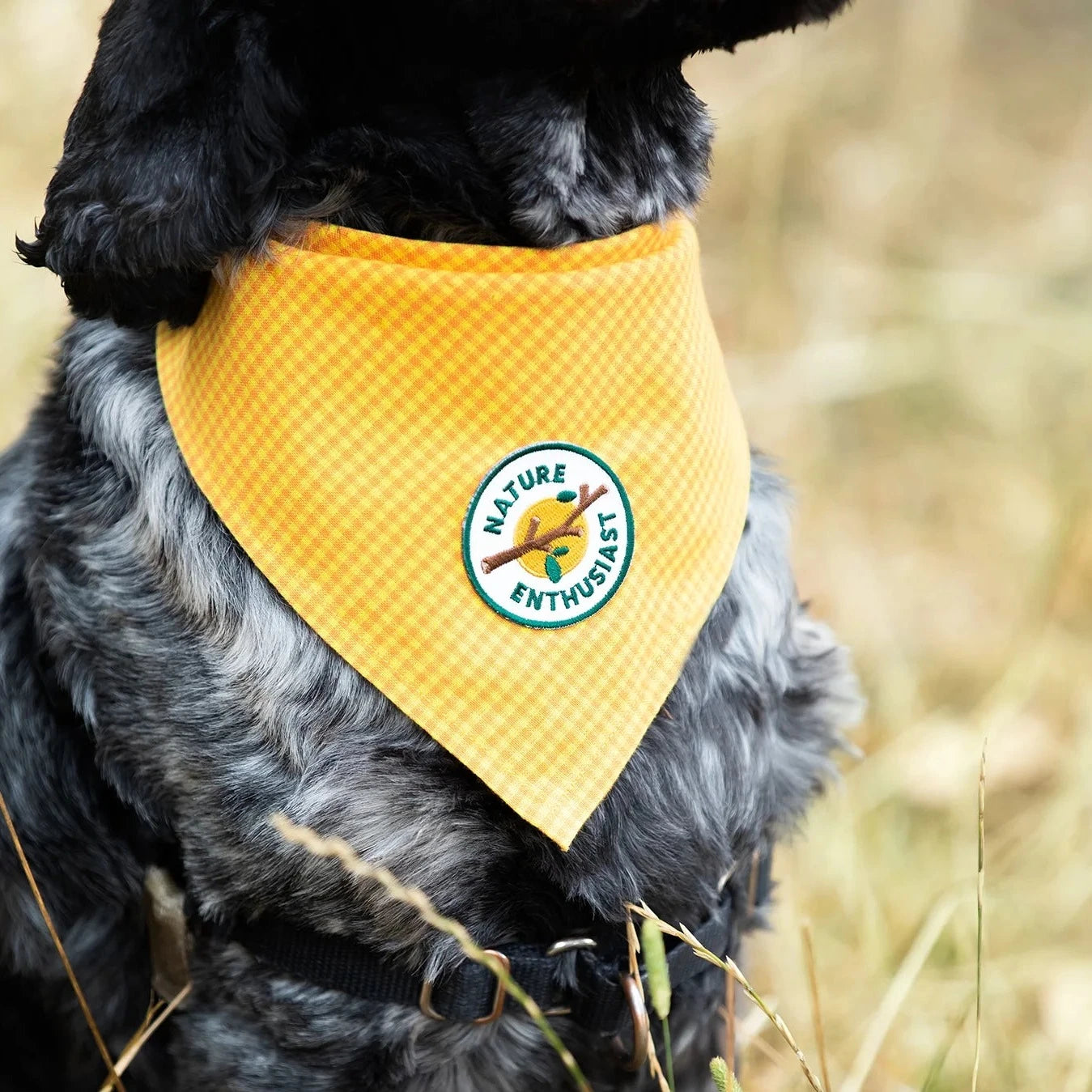 Scouts Honour Nature Enthusiast Iron-on Patch for Dogs - Radical Living 