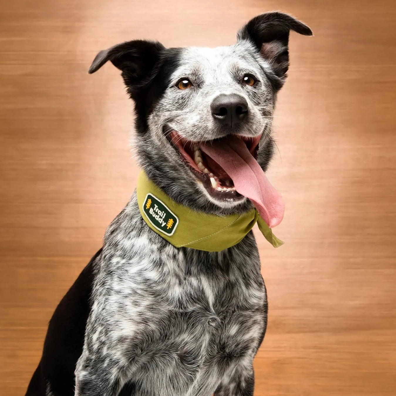 Scouts Honour Olive Bandana for Dogs - Radical Living