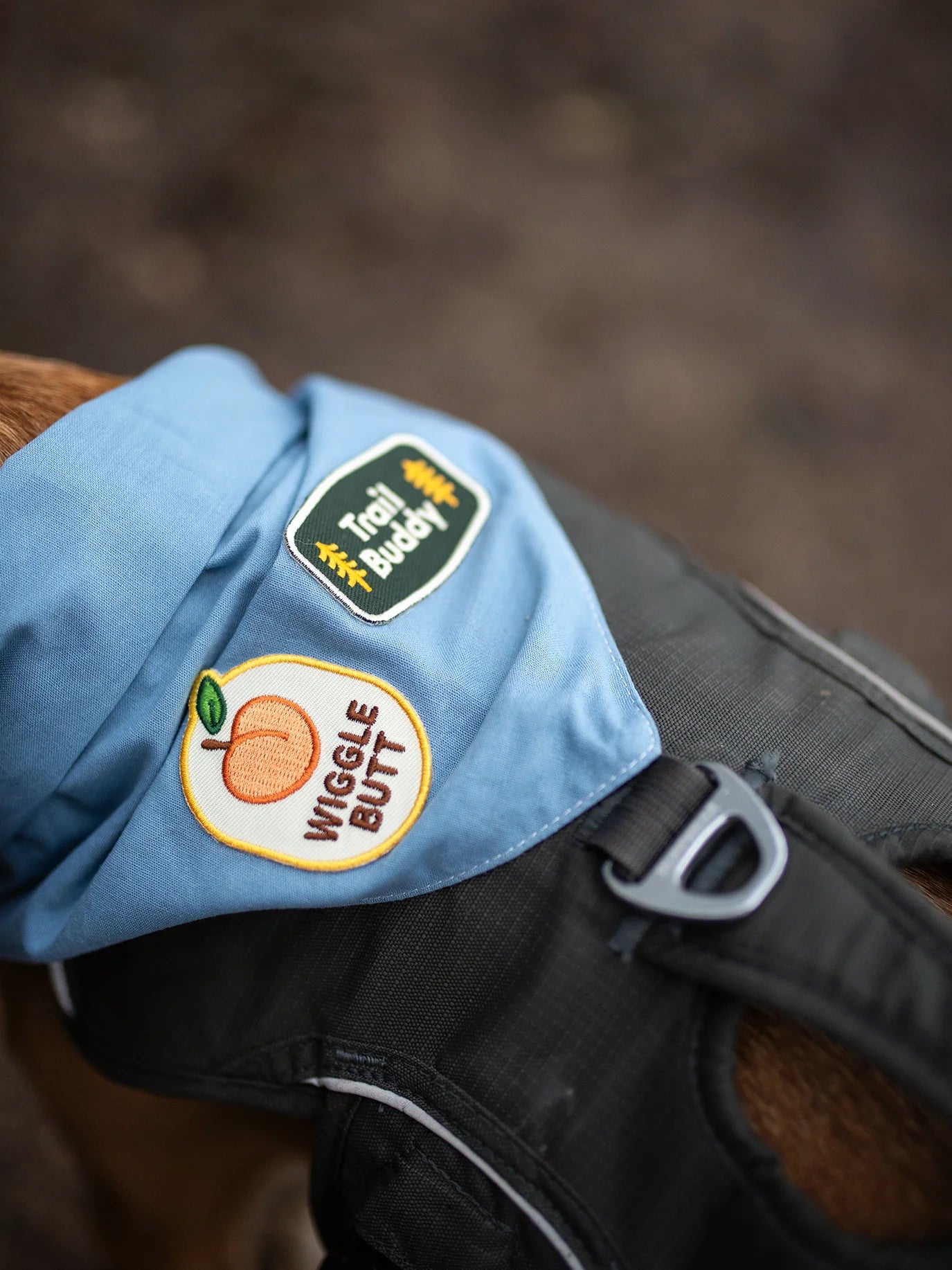 Scouts Honour Wiggle Butt Iron-on Patch for Dogs - Radical Living