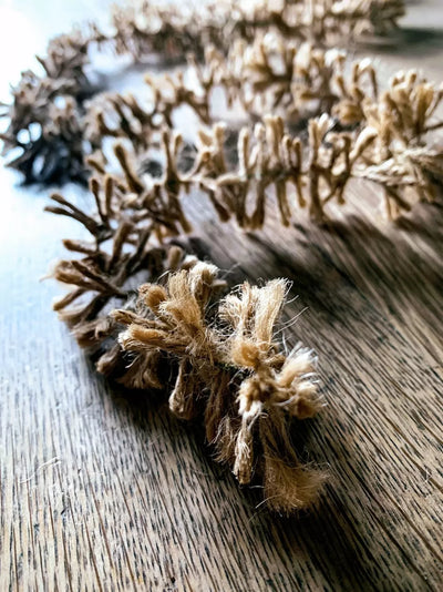 Dried decorative branches on a wooden surface