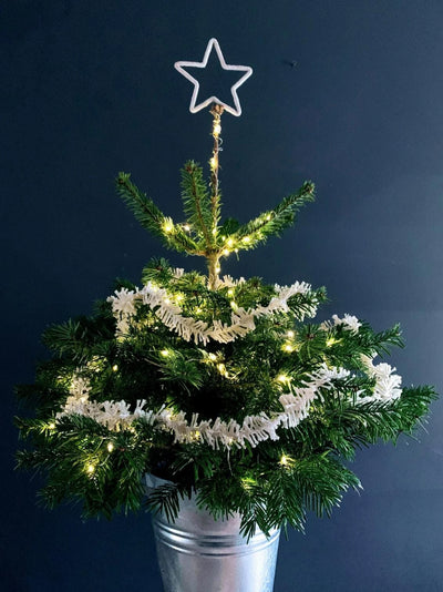 Small potted Christmas tree with white lights and a star on a dark background