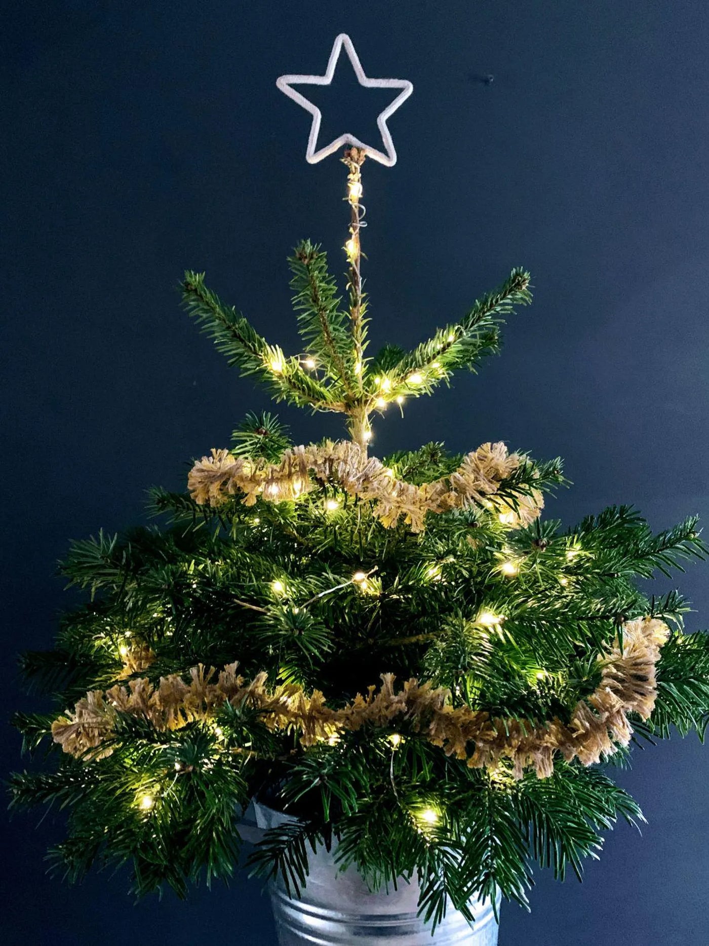 Small decorated Christmas tree with a star topper against a dark blue background