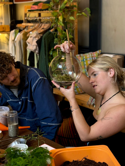 Closed Terrarium Workshop | Sunday 8th June @ 11am - Radical Living