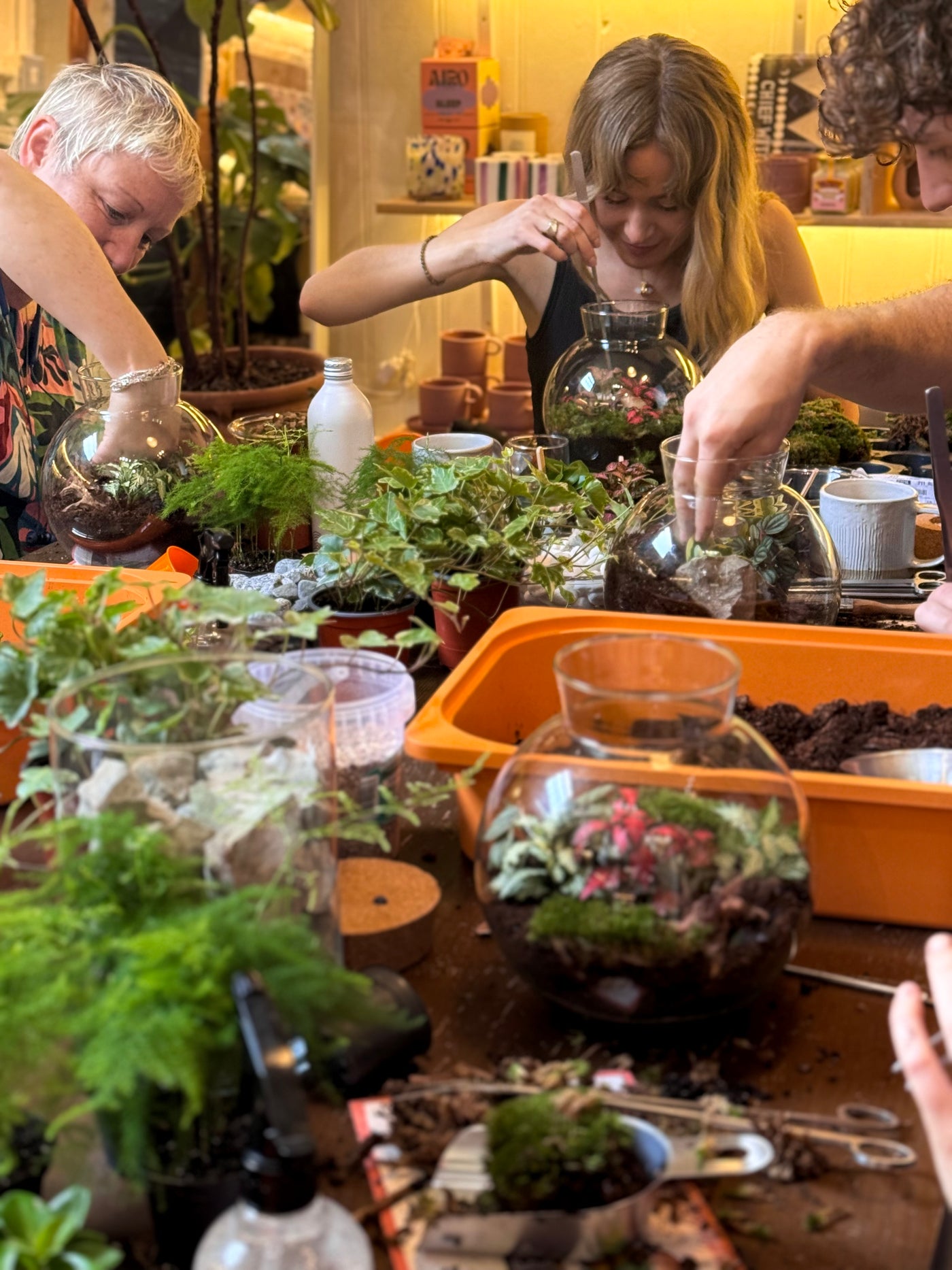 Closed Terrarium Workshop | Sunday 8th June @ 11am - Radical Living