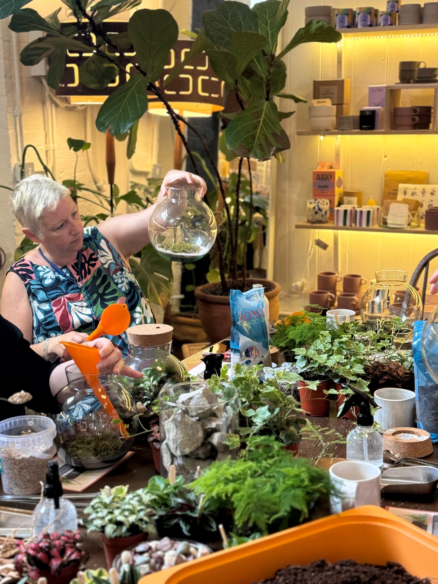 Closed Terrarium Workshop | Sunday 8th June @ 11am - Radical Living