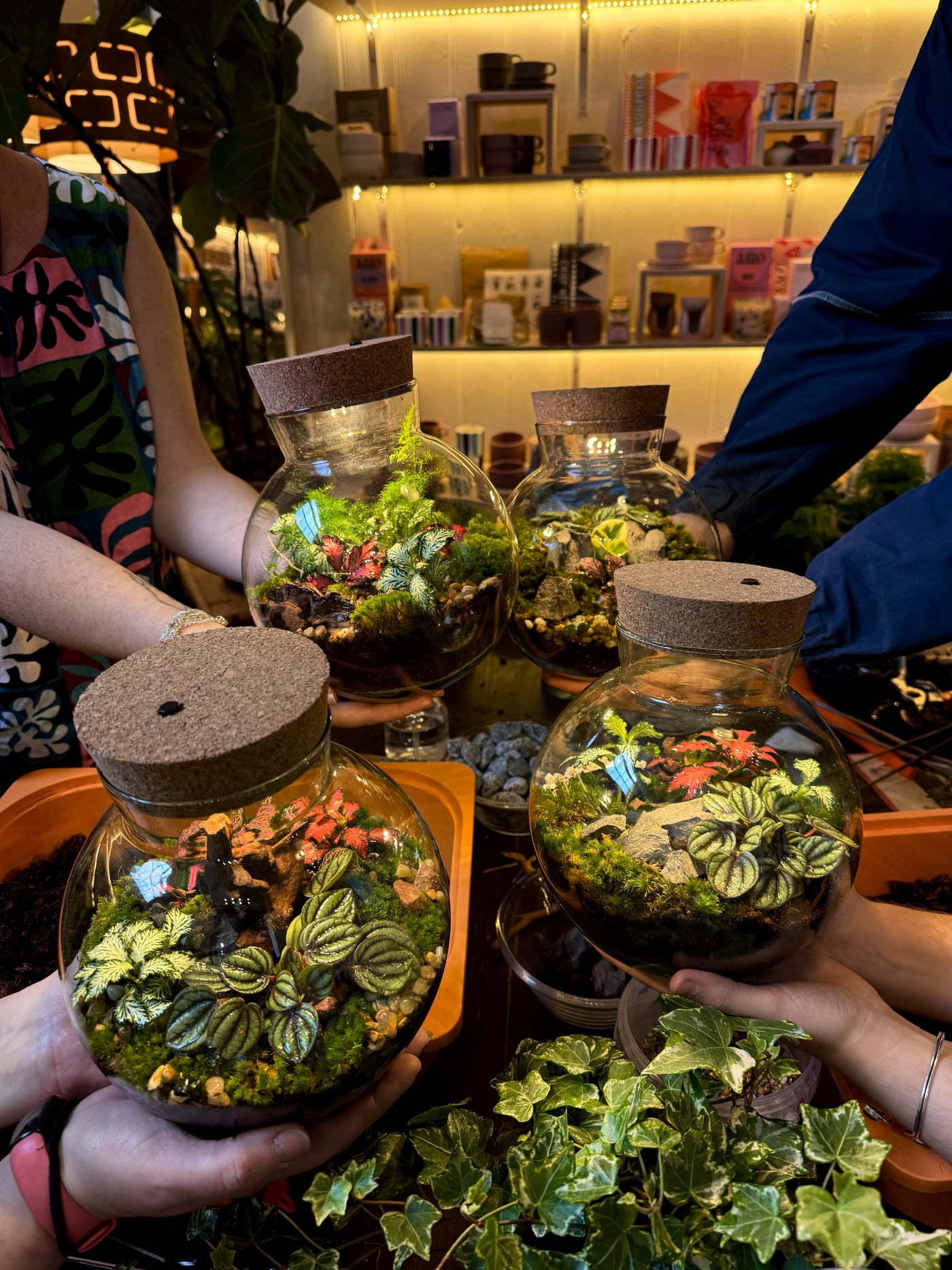 Closed Terrarium Workshop | Sunday 8th June @ 11am - Radical Living